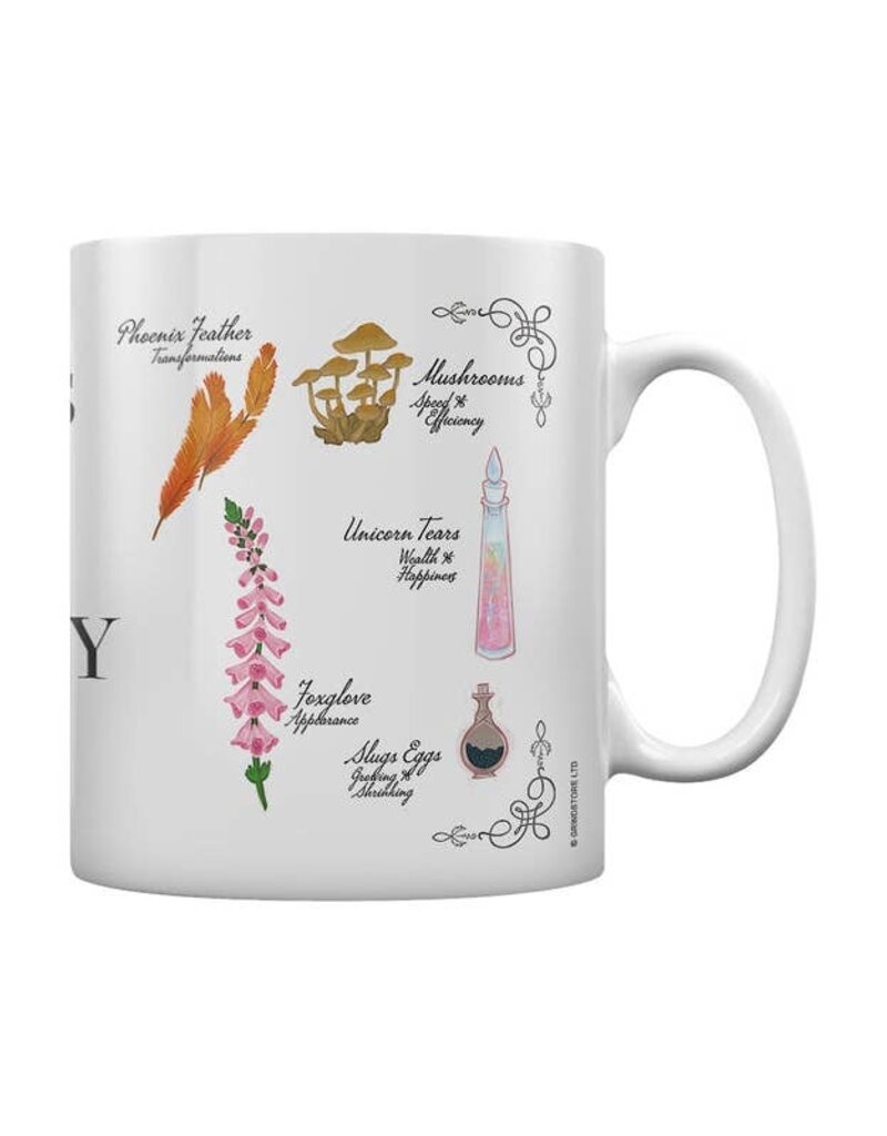 Potions for the Culinary Witch Mug