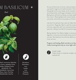 Everyday Plant Magic: Change Your Life Through the Magical Energy of Nature