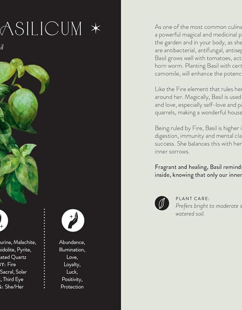 Everyday Plant Magic: Change Your Life Through the Magical Energy of Nature