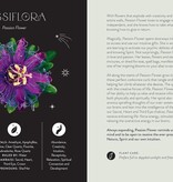 Everyday Plant Magic: Change Your Life Through the Magical Energy of Nature