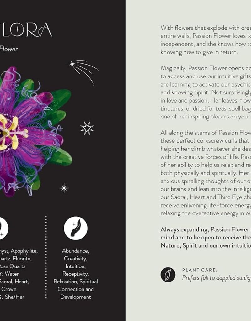 Everyday Plant Magic: Change Your Life Through the Magical Energy of Nature