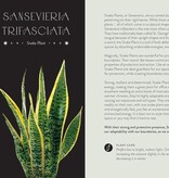 Everyday Plant Magic: Change Your Life Through the Magical Energy of Nature