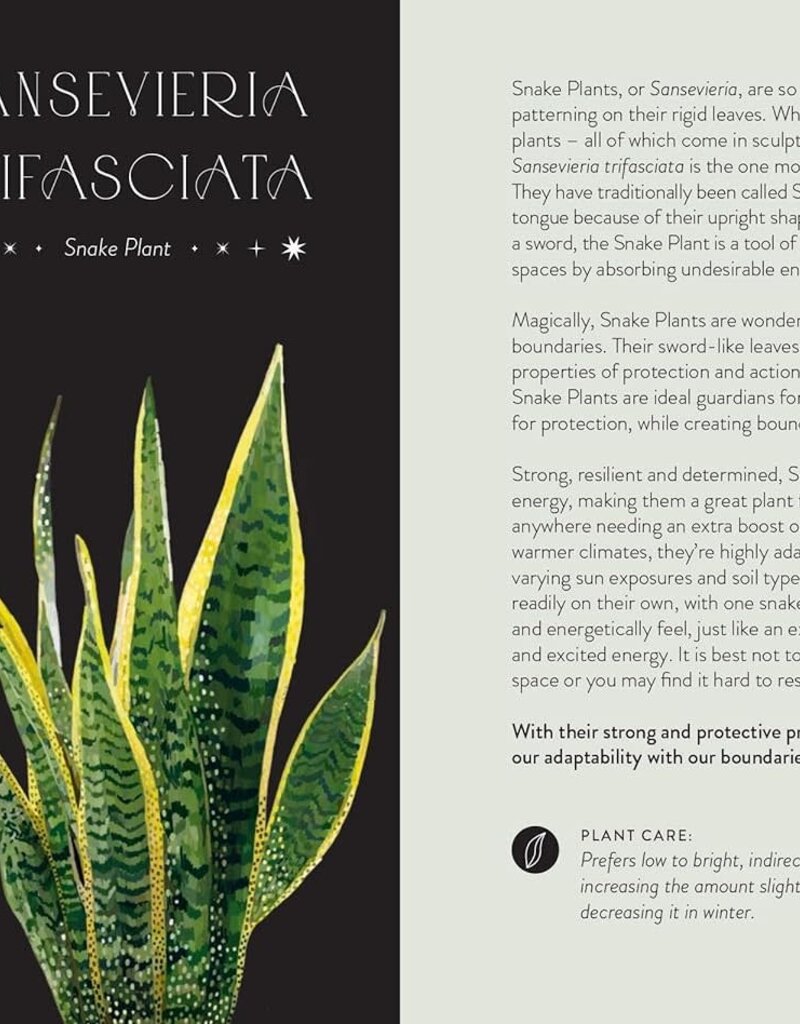 Everyday Plant Magic: Change Your Life Through the Magical Energy of Nature