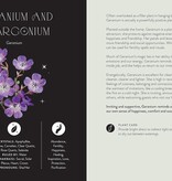 Everyday Plant Magic: Change Your Life Through the Magical Energy of Nature