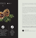 Everyday Plant Magic: Change Your Life Through the Magical Energy of Nature