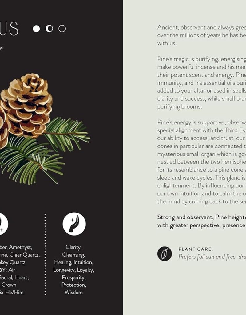 Everyday Plant Magic: Change Your Life Through the Magical Energy of Nature