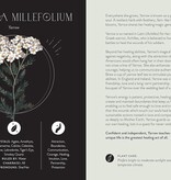 Everyday Plant Magic: Change Your Life Through the Magical Energy of Nature