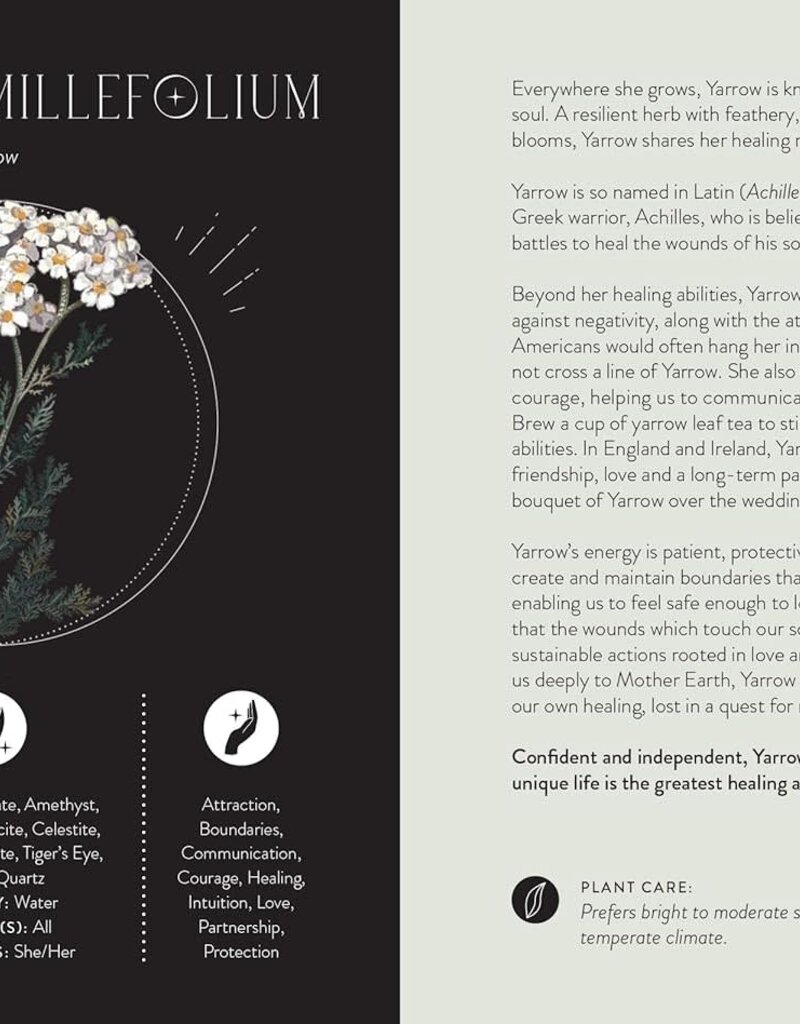 Everyday Plant Magic: Change Your Life Through the Magical Energy of Nature