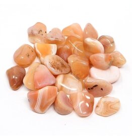 Banded Carnelian - Medium Gemstone Tumbled
