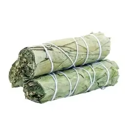 Eucalyptus 4" Cleansing Sticks