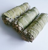 Eucalyptus 4" Cleansing Sticks