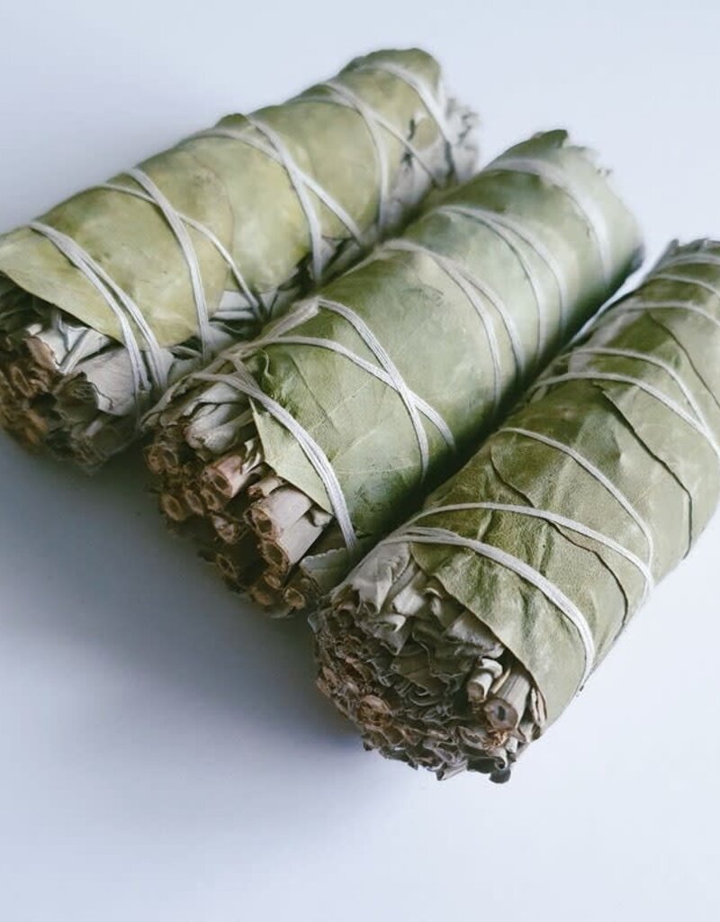 Eucalyptus 4" Cleansing Sticks