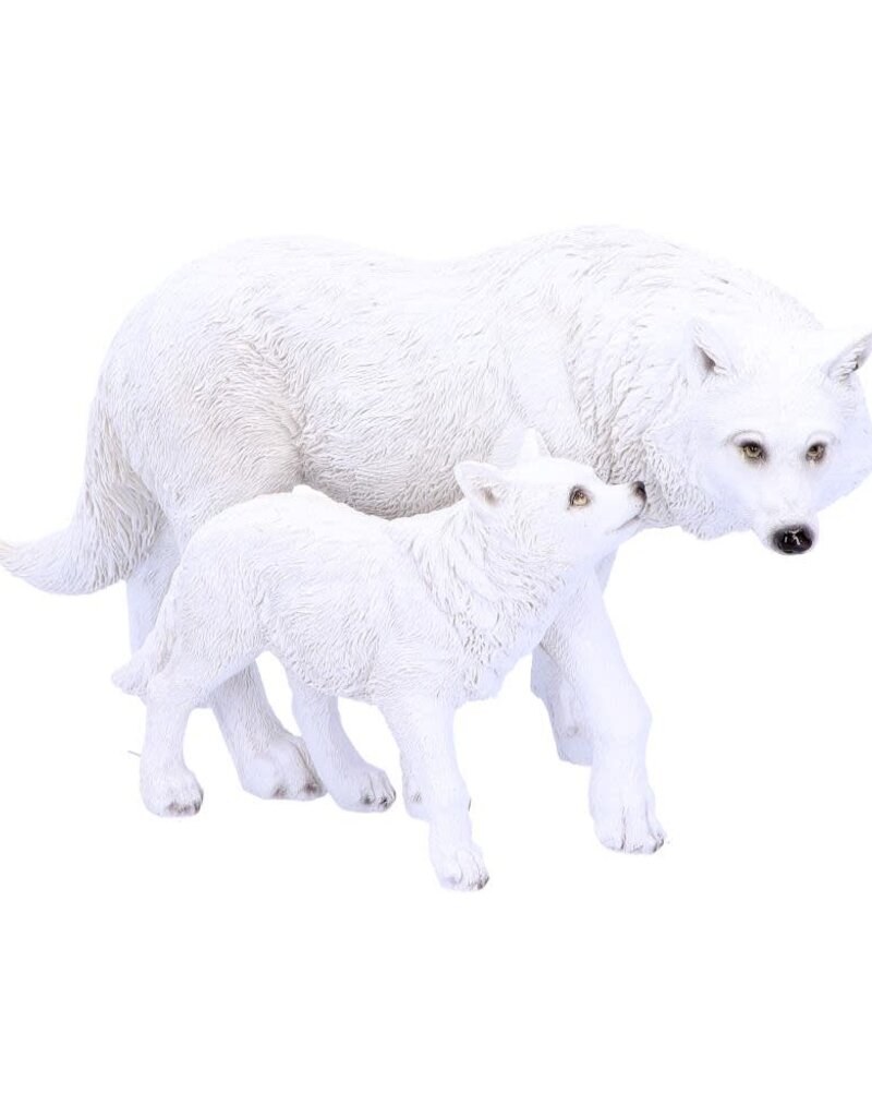 Nemesis Now Winter Offspring 27.5cm (F2)