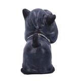 Nemesis Now Reapers Kitty 15.5cm (L1*)