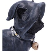 Nemesis Now Reapers Kitty 15.5cm (L1*)