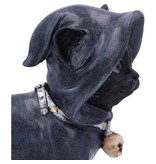 Nemesis Now Reapers Kitty 15.5cm (L1*)