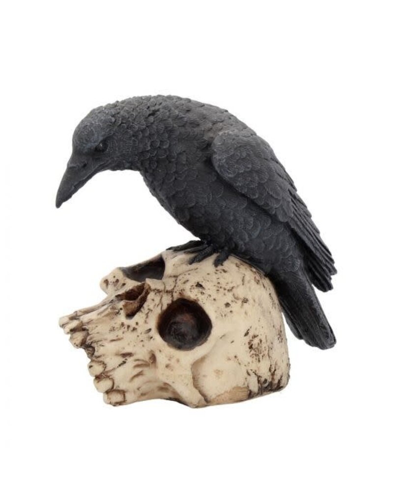 Ravens Remains - 13 cm