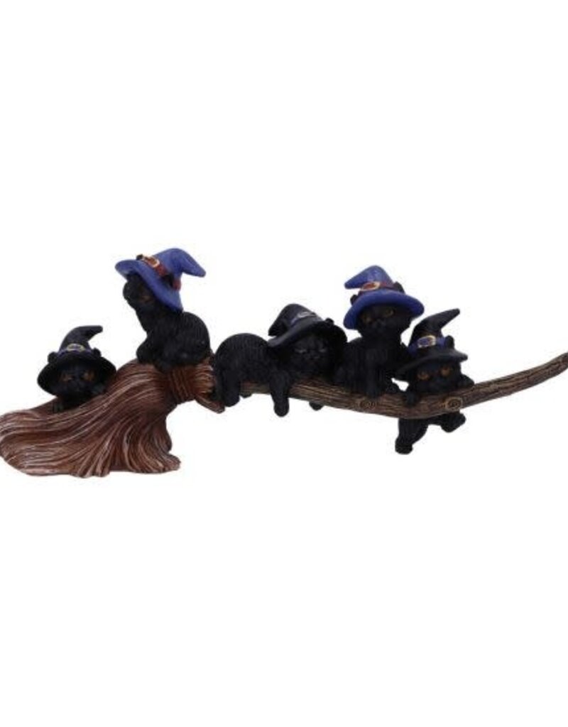 Nemesis Now Purrfect Broomstick - 27.5 cm (A1*)