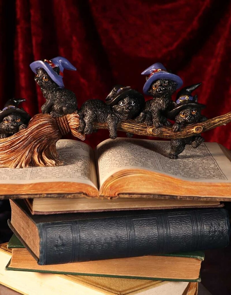 Nemesis Now Purrfect Broomstick - 27.5 cm (A1*)