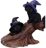 Nemesis Now Purrfect Broomstick - 27.5 cm (A1*)