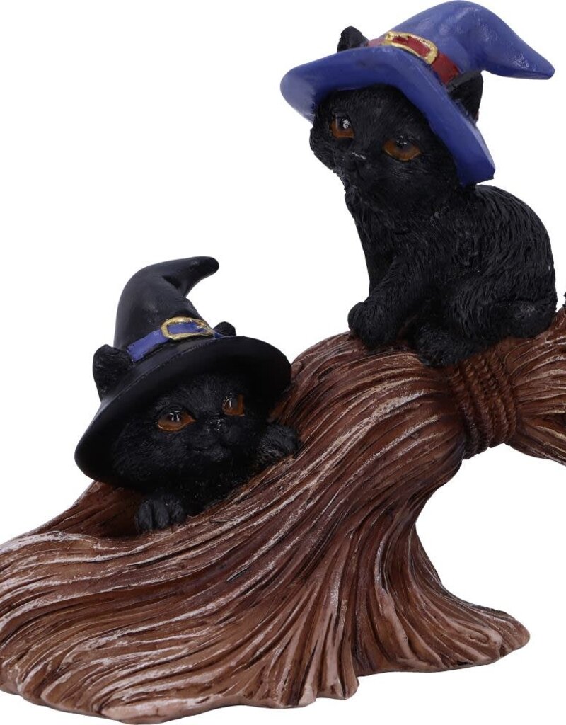 Nemesis Now Purrfect Broomstick - 27.5 cm (A1*)