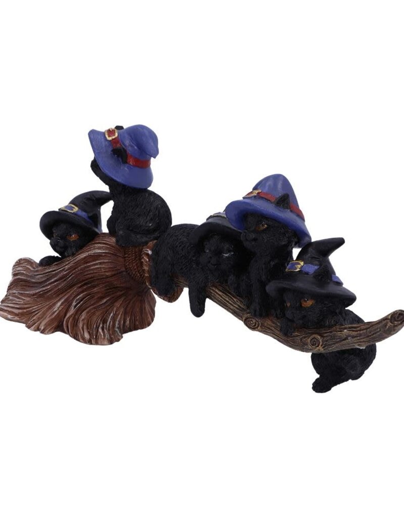 Nemesis Now Purrfect Broomstick - 27.5 cm (B1*)