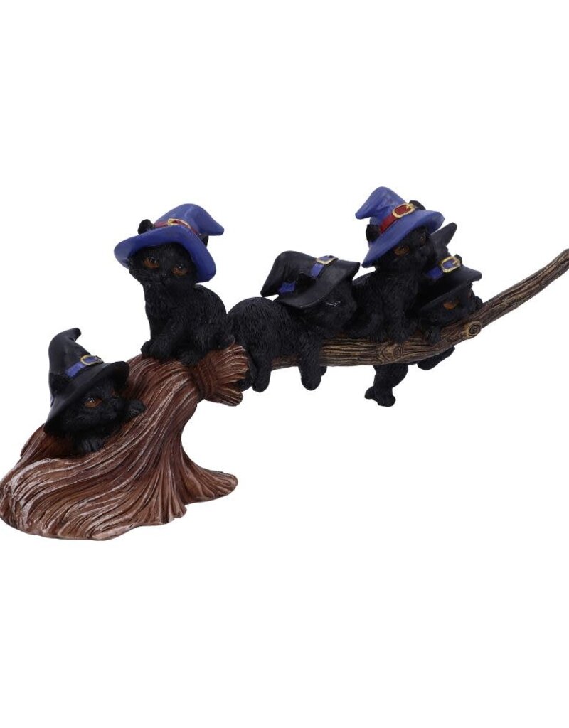 Nemesis Now Purrfect Broomstick - 27.5 cm (B1*)