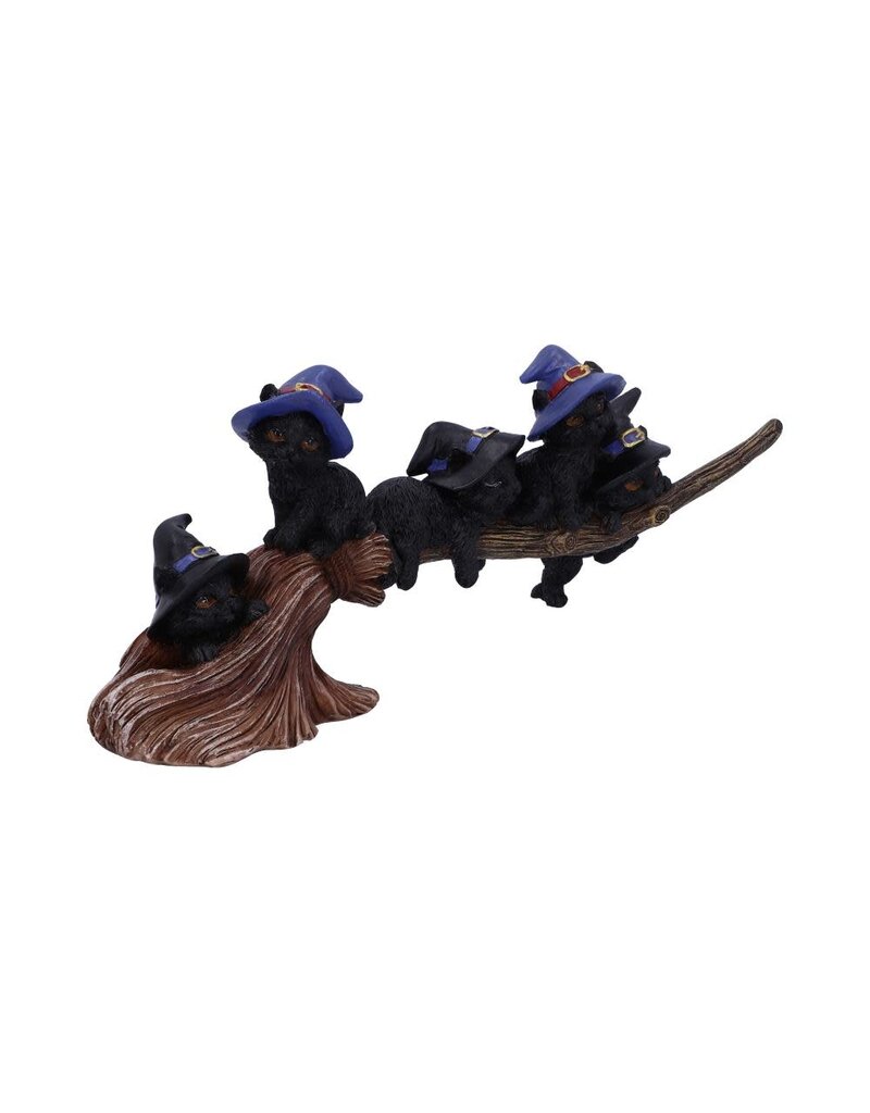 Nemesis Now Purrfect Broomstick - 27.5 cm (A1*)