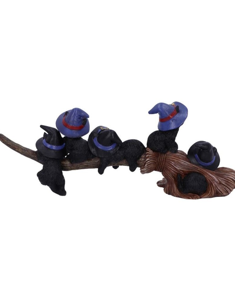 Nemesis Now Purrfect Broomstick - 27.5 cm (A1*)