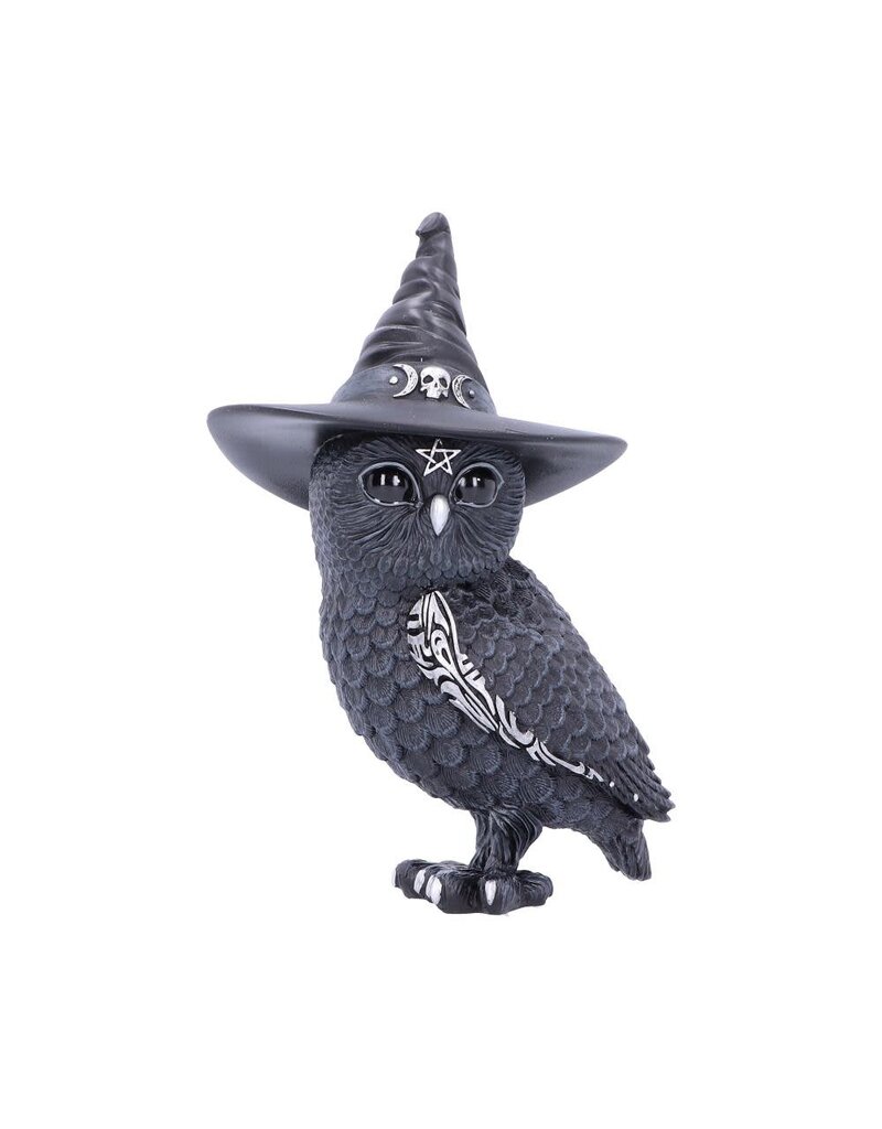 Nemesis Now Owlocen 13.5cm (M3*)