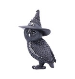 Nemesis Now Owlocen 13.5cm (M3*)