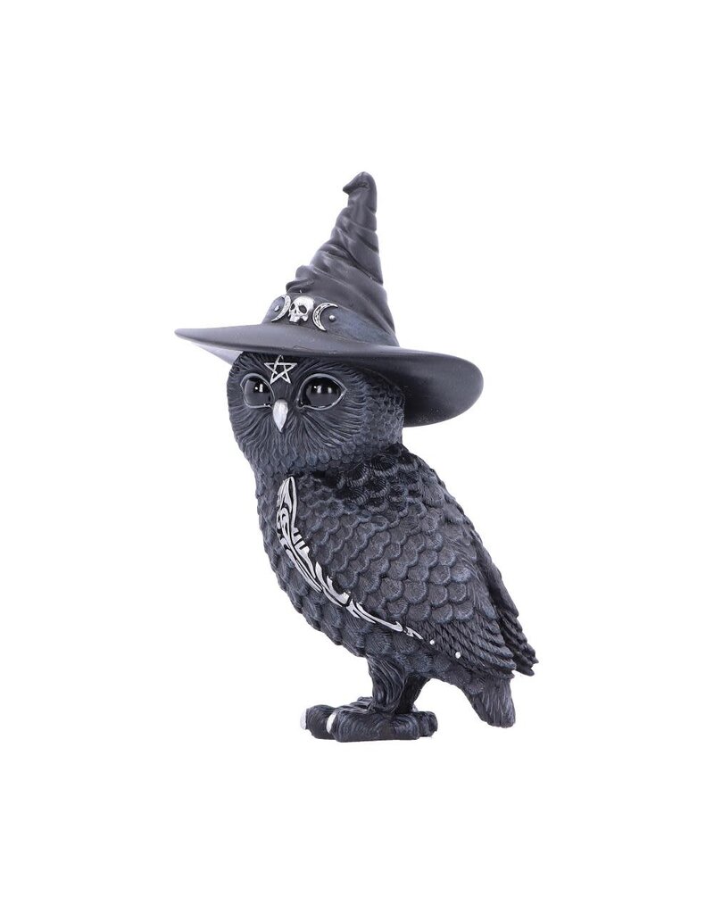 Nemesis Now Owlocen 13.5cm (M3*)
