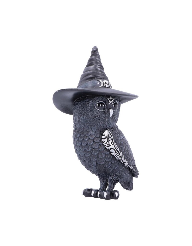 Nemesis Now Owlocen 13.5cm (M3*)