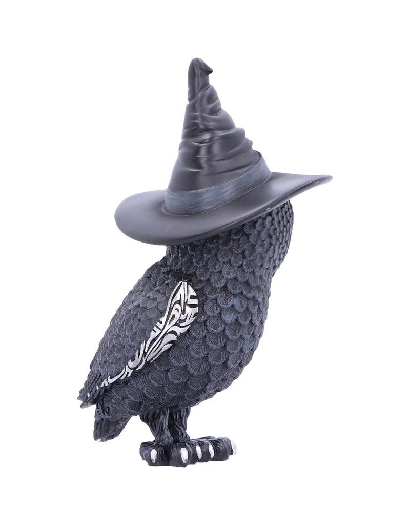 Nemesis Now Owlocen 13.5cm (M3*)