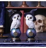 Nemesis Now Owl's Charm 21cm