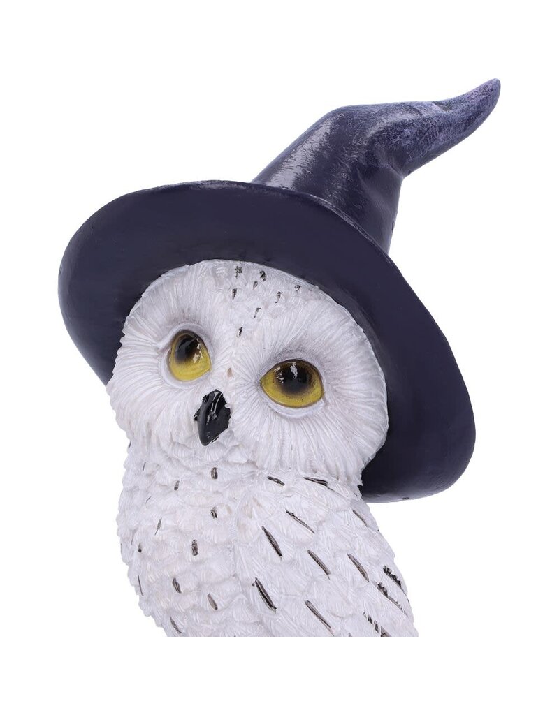 Nemesis Now Owl's Charm 21cm (i3)