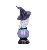 Nemesis Now Owl's Charm 21cm (i3)