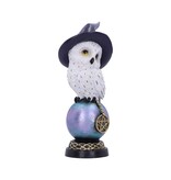 Nemesis Now Owl's Charm 21cm (i3)