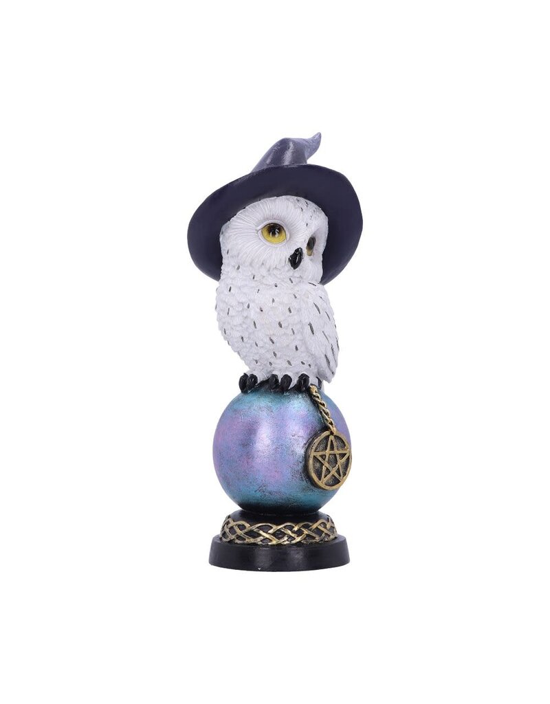 Nemesis Now Owl's Charm 21cm (i3)