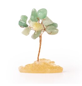 Mini Amazonite Gemstone Tree - Gemstones