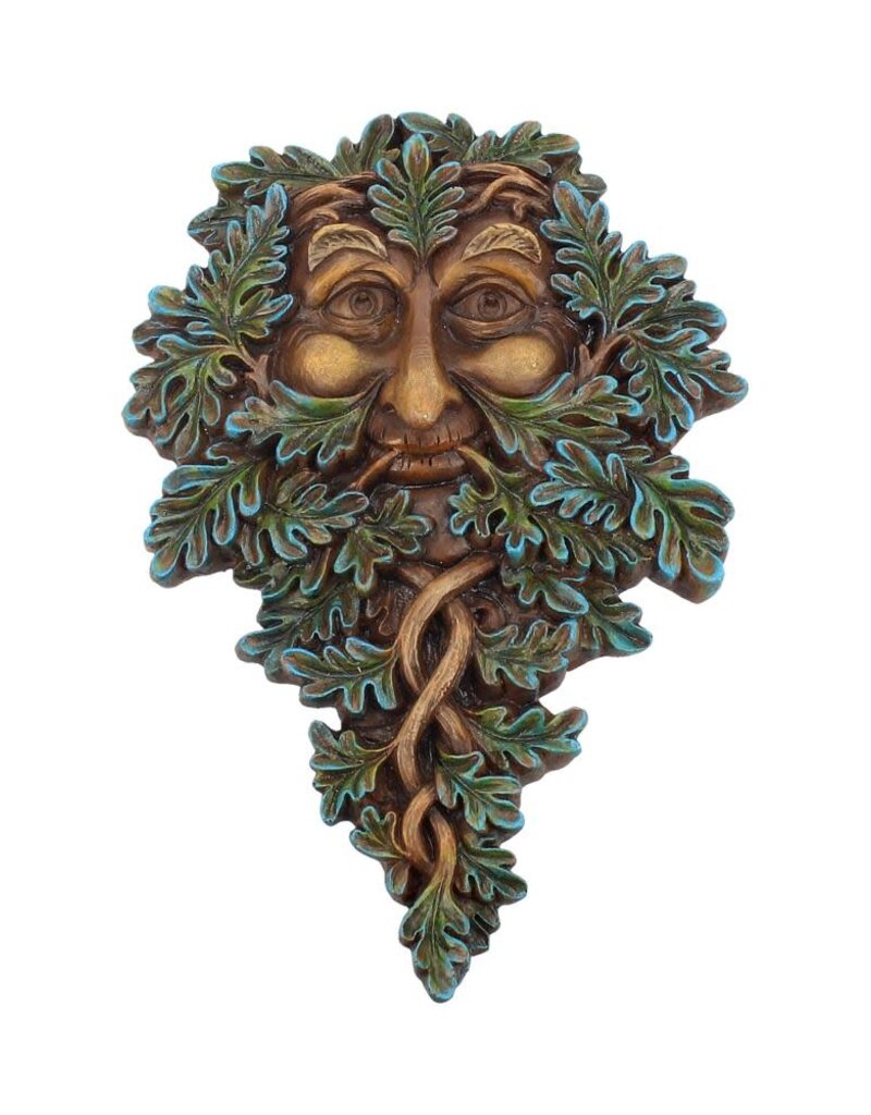 Nemesis Now Oak Guardian 19.5cm (L1*)