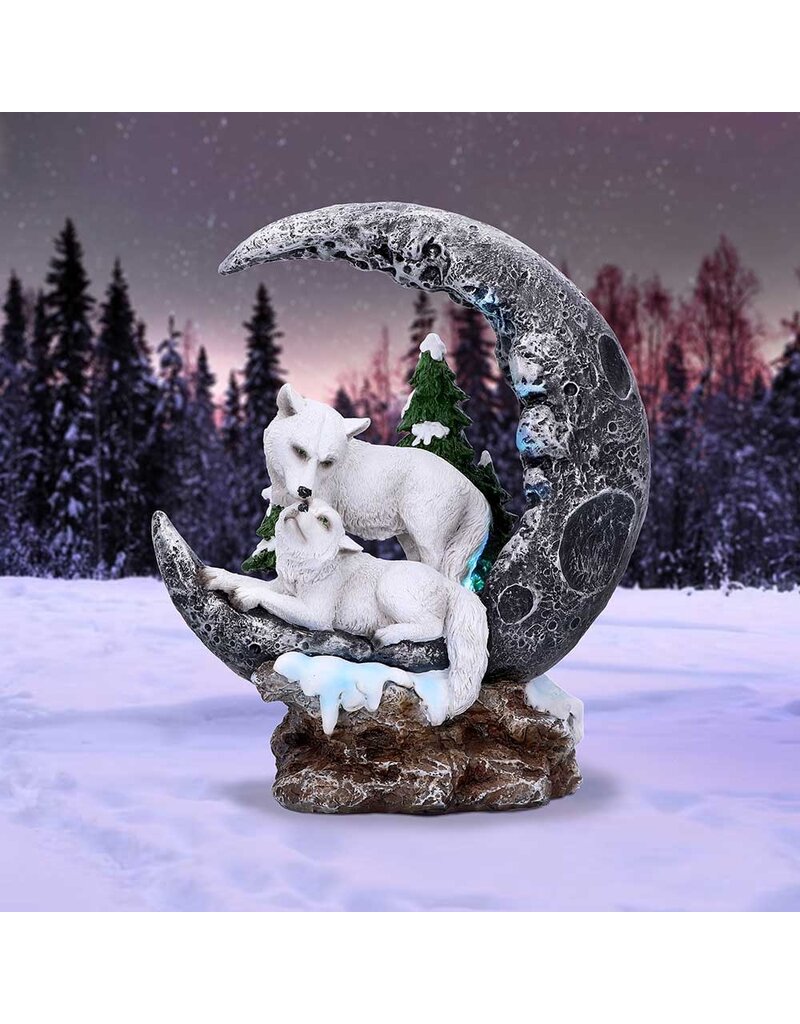 Nemesis Now Lunar Companions 19.3cm (B1*)