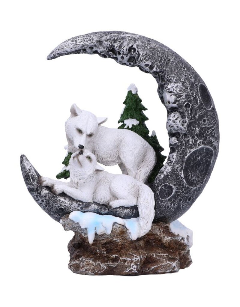 Nemesis Now Lunar Companions 19.3cm (A1*)