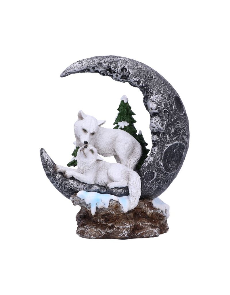 Nemesis Now Lunar Companions 19.3cm (B1*)