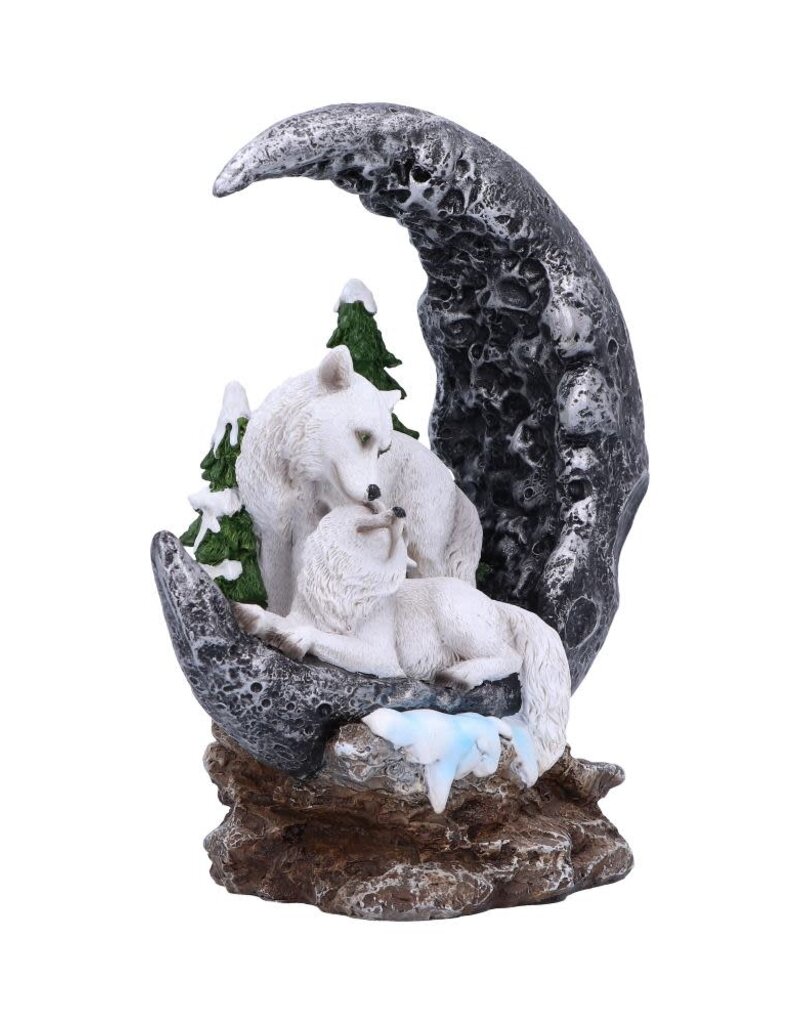 Nemesis Now Lunar Companions 19.3cm (A1*)