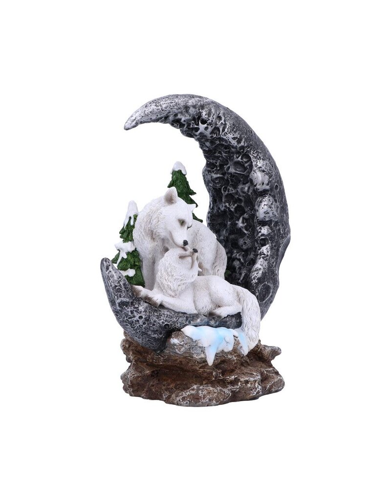 Nemesis Now Lunar Companions 19.3cm (B1*)