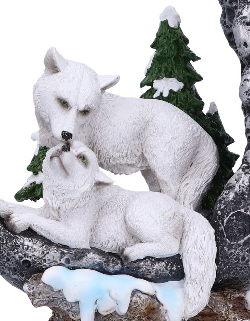 Nemesis Now Lunar Companions 19.3cm (A1*)