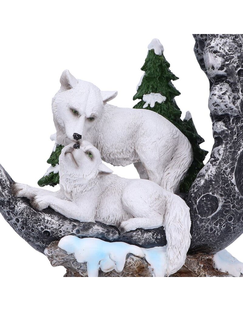 Nemesis Now Lunar Companions 19.3cm (B1*)