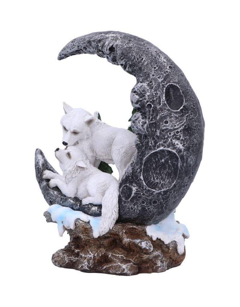 Nemesis Now Lunar Companions 19.3cm (A1*)