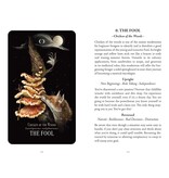 Midnight Magic: A Tarot Deck of Mushrooms